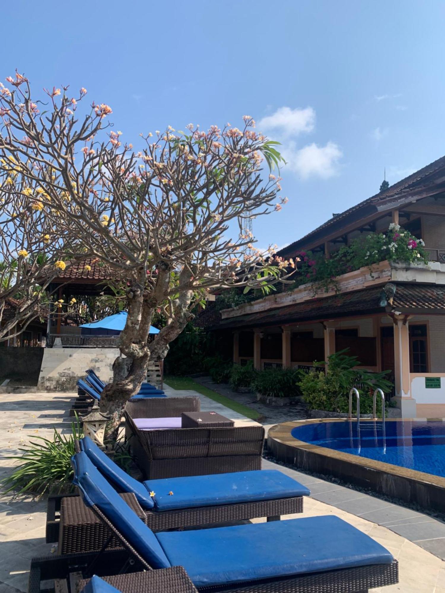 Fat Yogi Cottages Kuta Lombok Extérieur photo